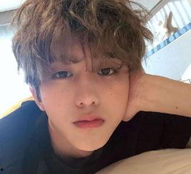 圈内人员爆料白鹿蔡徐坤,圈内爆料揭秘背后真相 第1张 圈内人员爆料白鹿蔡徐坤,圈内爆料揭秘背后真相 第1张